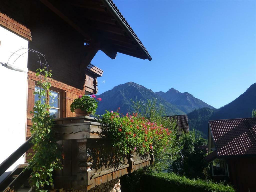 Haus Petra Und Toni Holzheu Apartment Bad Hindelang Luaran gambar